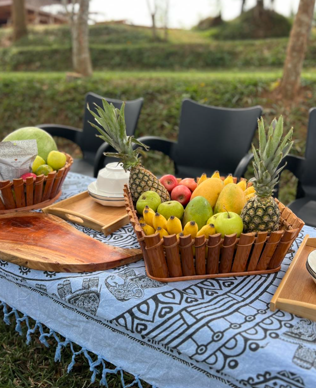 CAMPING EXPERIENCE AT ADOKO FARMS — image 4