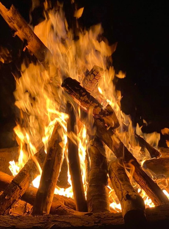 CAMPING EXPERIENCE AT ADOKO FARMS — image 5